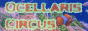 An 88x31 button for ocellarisCircus.